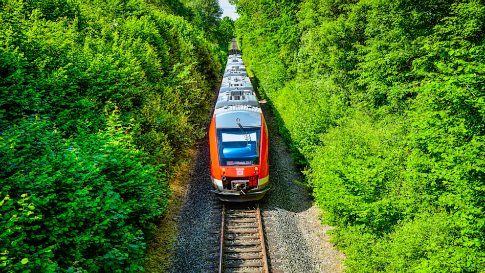Die Züge der Regionalbahn fahren zurzeit nicht zwischen Scharbeutz und Neustadt/Holstein