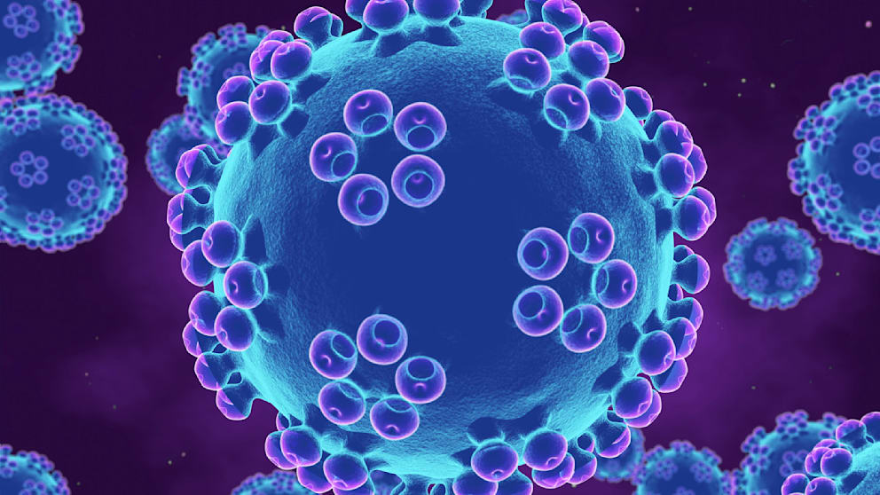 HPV ist die Abkürzung für Humane Papillomviren