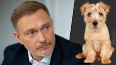 Teaser-Bild
