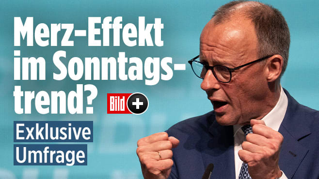 Merz-Effekt im Sonntagstrend? Union legt nach zwei Wochen Kanzler zu