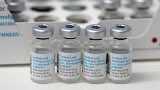 Mpox-Virus: WHO genehmigt Affenpocken-Impfstoff