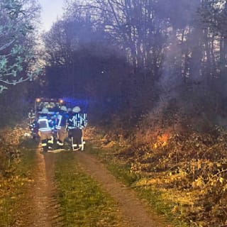 Im Wald bei Nettetal: Feuerwehrmänner sollen über 20 Brände gelegt haben