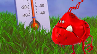  Pollen und Temperaturchaos: Deshalb sind im Frühling alle krank